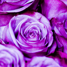 账号购买平台靠谱的ddos在线攻击